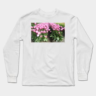 Flowers, pink tulips, Skagit Valley, Washington State Long Sleeve T-Shirt